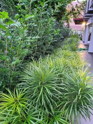 Changi South Lane (D16), Semi-Detached #502588321